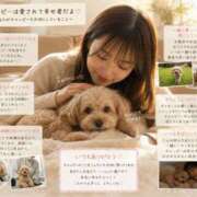 ヒメ日記 2026/05/15 20:40 投稿 あや 谷町人妻ゴールデン倶楽部