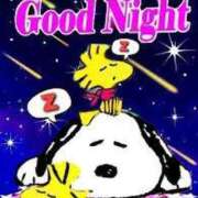 ヒメ日記 2025/05/24 04:24 投稿 りょう 熟女の風俗最終章 新潟店