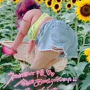 ヒメ日記 2025/07/18 18:29 投稿 りょう 熟女の風俗最終章 新潟店