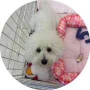 ヒメ日記 2025/08/24 11:10 投稿 りょう 熟女の風俗最終章 新潟店