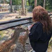 ヒメ日記 2025/11/15 06:43 投稿 りょう 熟女の風俗最終章 新潟店