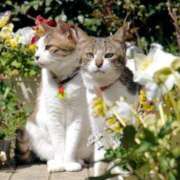 ヒメ日記 2025/11/28 07:53 投稿 りょう 熟女の風俗最終章 新潟店