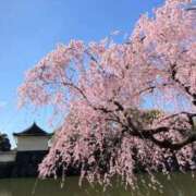 ヒメ日記 2026/03/26 15:23 投稿 りょう 熟女の風俗最終章 新潟店