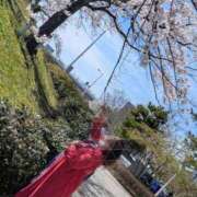 ヒメ日記 2026/04/06 15:27 投稿 りょう 熟女の風俗最終章 新潟店