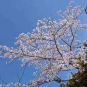 ヒメ日記 2026/04/06 19:40 投稿 りょう 熟女の風俗最終章 新潟店