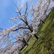 ヒメ日記 2026/04/06 20:33 投稿 りょう 熟女の風俗最終章 新潟店