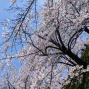 ヒメ日記 2026/04/06 20:54 投稿 りょう 熟女の風俗最終章 新潟店