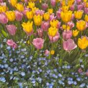 ヒメ日記 2025/06/07 16:44 投稿 みゆう G-SPOT