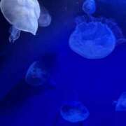 ヒメ日記 2025/11/20 07:11 投稿 みゆう G-SPOT