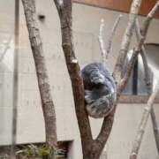 ヒメ日記 2026/01/26 10:20 投稿 ゆい 梅田人妻秘密倶楽部