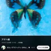 ヒメ日記 2025/02/08 09:58 投稿 きら 池袋風俗　池袋いきなりビンビン伝説