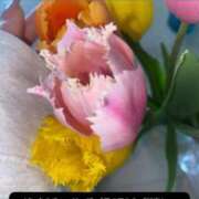 ヒメ日記 2025/03/06 22:29 投稿 きら 池袋風俗　池袋いきなりビンビン伝説