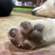 ヒメ日記 2025/04/20 09:12 投稿 きら 池袋風俗　池袋いきなりビンビン伝説