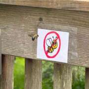 ヒメ日記 2025/06/20 11:30 投稿 きら 池袋風俗　池袋いきなりビンビン伝説