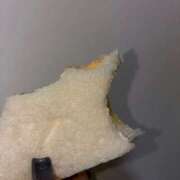 ヒメ日記 2026/01/12 09:58 投稿 きら 池袋風俗　池袋いきなりビンビン伝説