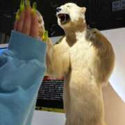 ヒメ日記 2026/03/26 18:44 投稿 きら 池袋風俗　池袋いきなりビンビン伝説