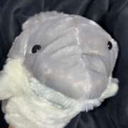 ヒメ日記 2026/03/28 10:08 投稿 きら 池袋風俗　池袋いきなりビンビン伝説