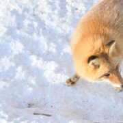 ヒメ日記 2025/01/20 23:36 投稿 えり ENTERTAINMENT SOAP LOVE VEGAS(ラブベガス)