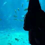 ヒメ日記 2025/03/11 06:36 投稿 えり ENTERTAINMENT SOAP LOVE VEGAS(ラブベガス)