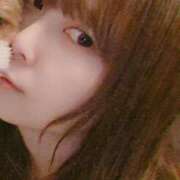 ヒメ日記 2025/03/25 17:16 投稿 えり ENTERTAINMENT SOAP LOVE VEGAS(ラブベガス)