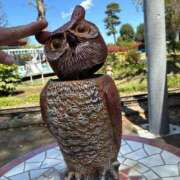 ヒメ日記 2025/04/17 06:46 投稿 えり ENTERTAINMENT SOAP LOVE VEGAS(ラブベガス)