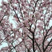 ヒメ日記 2025/04/29 15:56 投稿 えり ENTERTAINMENT SOAP LOVE VEGAS(ラブベガス)