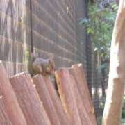 ヒメ日記 2025/05/21 19:16 投稿 えり ENTERTAINMENT SOAP LOVE VEGAS(ラブベガス)