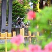 ヒメ日記 2025/05/29 17:46 投稿 えり ENTERTAINMENT SOAP LOVE VEGAS(ラブベガス)