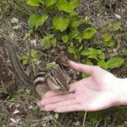 ヒメ日記 2025/06/18 01:46 投稿 えり ENTERTAINMENT SOAP LOVE VEGAS(ラブベガス)