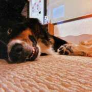 ヒメ日記 2025/07/04 18:16 投稿 えり ENTERTAINMENT SOAP LOVE VEGAS(ラブベガス)