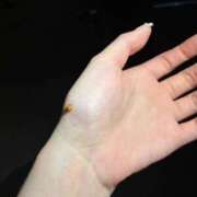 ヒメ日記 2025/08/25 19:46 投稿 えり ENTERTAINMENT SOAP LOVE VEGAS(ラブベガス)