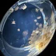 ヒメ日記 2025/10/07 08:16 投稿 えり ENTERTAINMENT SOAP LOVE VEGAS(ラブベガス)