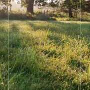 ヒメ日記 2024/12/05 08:09 投稿 まこ 白いぽっちゃりさん五反田店