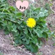 ヒメ日記 2025/11/08 20:28 投稿 Aya LovingTouch（ラビングタッチ）