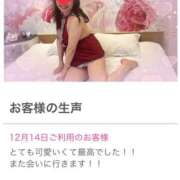 ヒメ日記 2024/12/17 17:35 投稿 はな 奥鉄オクテツ東京店（デリヘル市場）