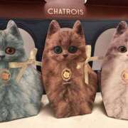 ヒメ日記 2025/05/11 07:30 投稿 はな 奥鉄オクテツ東京店（デリヘル市場）