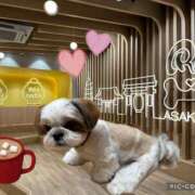 ヒメ日記 2025/05/22 19:20 投稿 はな 奥鉄オクテツ東京店（デリヘル市場）