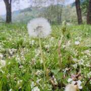 ヒメ日記 2025/05/10 11:55 投稿 ここ 素人妻御奉仕倶楽部Hip's取手店