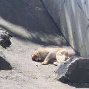 ヒメ日記 2025/05/11 10:35 投稿 ここ 素人妻御奉仕倶楽部Hip's取手店