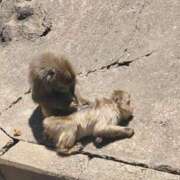 ヒメ日記 2025/05/29 15:45 投稿 ここ 素人妻御奉仕倶楽部Hip's取手店