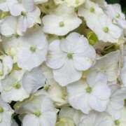 ヒメ日記 2025/07/11 19:25 投稿 ここ 素人妻御奉仕倶楽部Hip's取手店