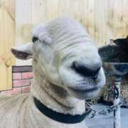 ヒメ日記 2025/10/10 14:51 投稿 ここ 素人妻御奉仕倶楽部Hip's取手店