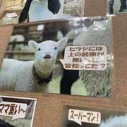 ヒメ日記 2025/10/17 07:51 投稿 ここ 素人妻御奉仕倶楽部Hip's取手店