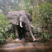 ヒメ日記 2025/10/18 09:11 投稿 ここ 素人妻御奉仕倶楽部Hip's取手店