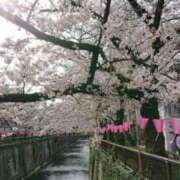 ヒメ日記 2025/04/08 08:42 投稿 みき 完熟ばなな千葉店