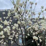 ヒメ日記 2025/04/28 17:22 投稿 みき 完熟ばなな千葉店