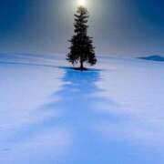 ヒメ日記 2025/12/22 08:52 投稿 みき 完熟ばなな千葉店