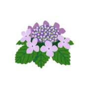 ヒメ日記 2025/06/01 09:50 投稿 まゆ ○コキクリニック～○○クリニックシリーズ～