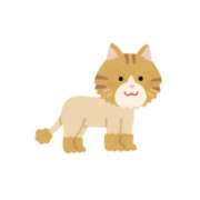 ヒメ日記 2025/08/05 08:09 投稿 まゆ ○コキクリニック～○○クリニックシリーズ～