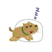 ヒメ日記 2025/11/08 08:10 投稿 まゆ ○コキクリニック～○○クリニックシリーズ～